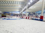 Vue depuis l'espace débutants vers la piste principale