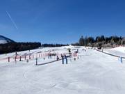 Bon plan pour les enfants :  - Village des enfants ArBär