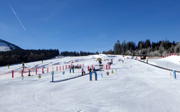 Stations de ski familiales Zwieseler Winkel – Familles et enfants Arber