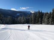 Piste familiale facile au Großberg