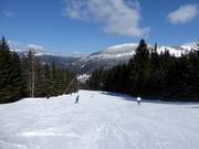 Piste intermédiaire Červená FIS