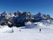 Vue sur la Pala di San Martino (groupe de la Pala)
