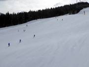 Très bonne préparation des pistes