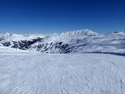 Piste facile Gensbichlalm-Braunkogel