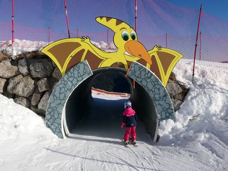 Stations de ski familiales Traunstein – Familles et enfants Steinplatte Winklmoosalm – Waidring/Reit im Winkl