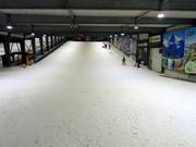 Emplacement idéal pour les débutants