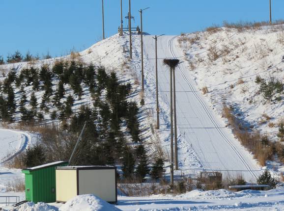 Kuningamäe - © Outi Raitsola