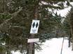Domaines skiables pour skieurs confirmés et freeriders Nord-Est des États-Unis – Skieurs confirmés, freeriders Bolton Valley