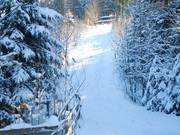 Hohe Bracht 2 - Télécorde/remonte-pente à câbles bas