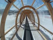 Zone d'entraînement à l'Alpe et son tapis roulant de 186 m couvert