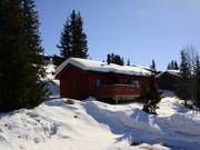 Chalets en rondins directement sur les pistes