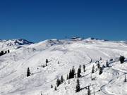 Pistes au télésiège Riedkopf