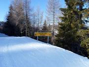 Signalisation des pistes dans le domaine skiable
