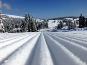 Piste de rêve au Grafenmatt