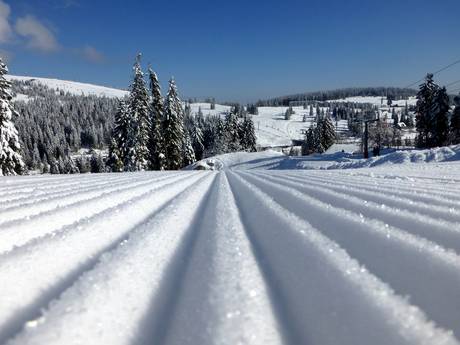 Préparation des pistes Todtnau – Préparation des pistes Feldberg – Seebuck/Grafenmatt/Fahl