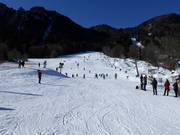 Piste d'entraînement au Streidlhang