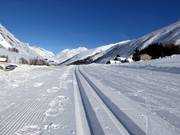 Boucle de ski de fond Talboden-Zumdorf