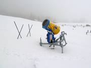 Canon à neige au Steckenberg