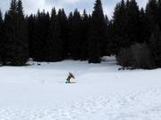 Igman 4 - Télécorde/remonte-pente à câbles bas