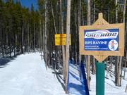 Piste pour enfants Rip’s Ravine