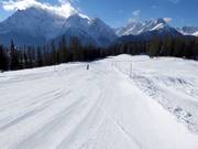 Descente facile vers la vallée jusqu'à Ftan