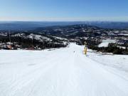 Piste Bøseterbakken n° 28