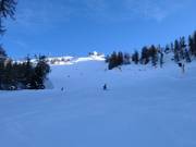 Piste noire Sylvester