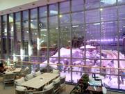 Vue depuis le Mall of Egypt sur le hall de ski