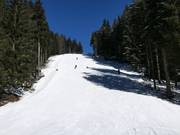 Piste noire Neklid Karásek II.