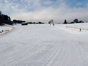 Descente Buckelwiesen