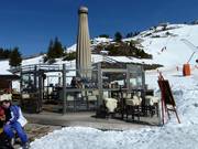 Bar parapluie au Murmelebau