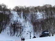 West Tiger Pair Lift - 2 places | Télésiège à pinces fixes