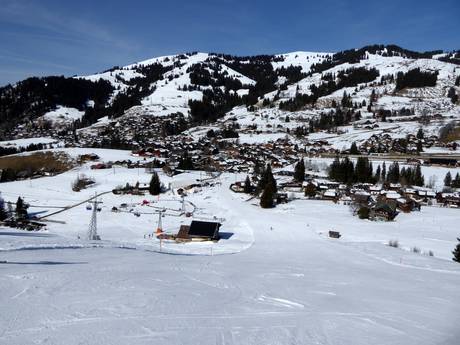 Simmental (vallée de la Simme): offres d'hébergement sur les domaines skiables – Offre d’hébergement Rinderberg/Saanerslochgrat/Horneggli – Zweisimmen/Saanenmöser/Schönried/St. Stephan