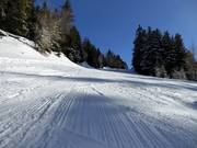 Piste facile Seehof