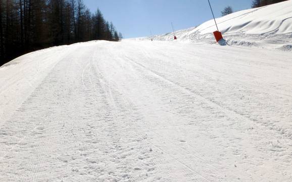 Domaines skiables pour les débutants dans la vallée de la Tinée – Débutants Auron (Saint-Etienne-de-Tinée)