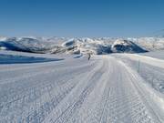 Piste Fjellrypa