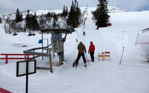 Herdalie (Härjedalen): amabilité du personnel dans les domaines skiables – Amabilité Vemdalsskalet
