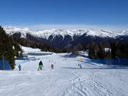 Piste facile Zoncolan 4