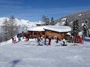 Harry's Lärchenpavillion