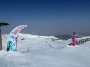 Bon plan pour les enfants : 