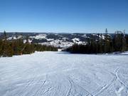 Piste intermédiaire n° 15