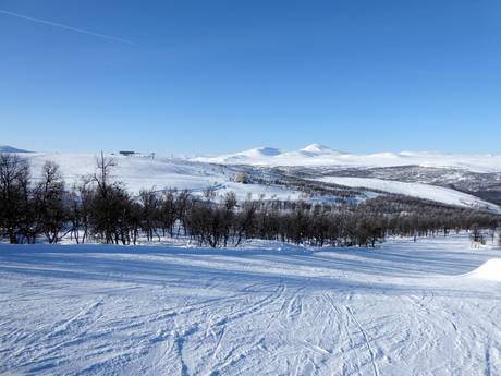 Herdalie (Härjedalen): Taille des domaines skiables – Taille Ramundberget