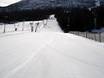 Domaines skiables pour les débutants dans le Buskerud – Débutants Hemsedal
