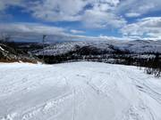 Piste facile Lätta Blåbär