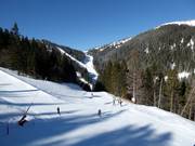Vue sur les pistes du domaine skiable de Kopaonik