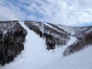 Vue sur les pistes Isola A et Isola B