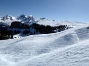 Domaine skiable libre au Laucherenstöckli