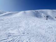 Zone freeride au Männlichen