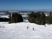 Piste facile Bucklwies