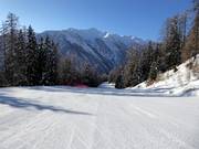 Descente vers la vallée Tarlenta